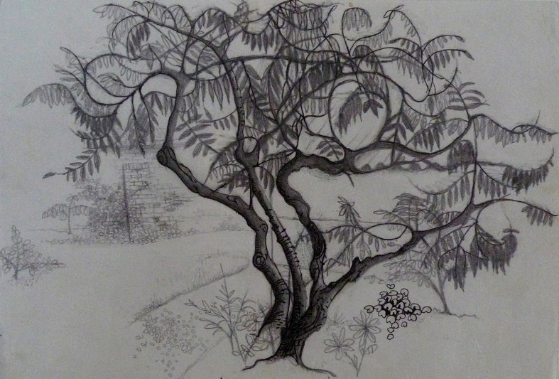 bernard werners